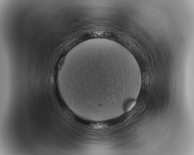 X0000095530754200801111413