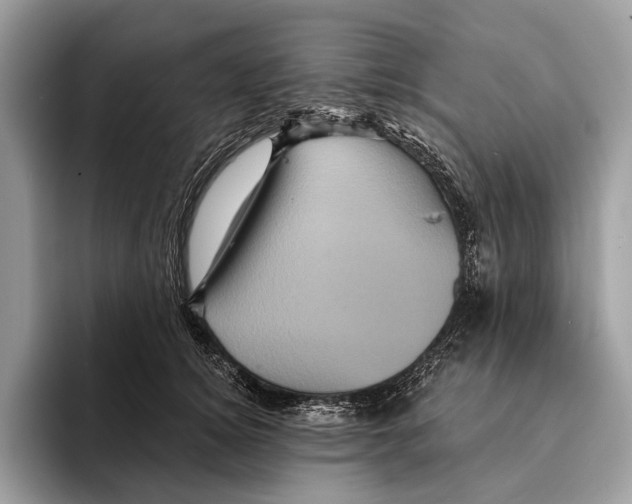 X0000095530756200801111413