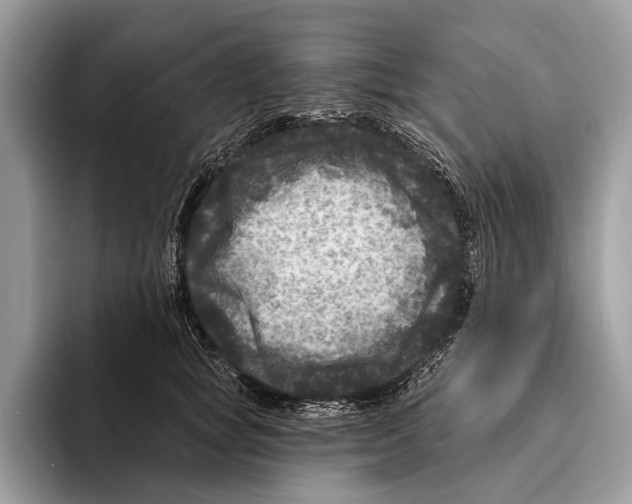 X0000095530757200801111413