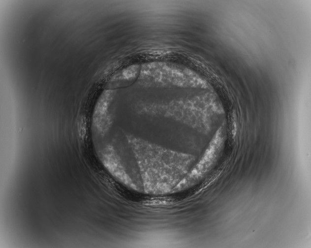 X0000095530758200801111413