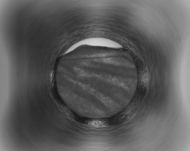 X0000095530759200801111413