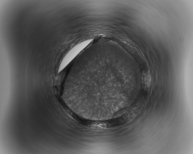 X0000095530760200801111413