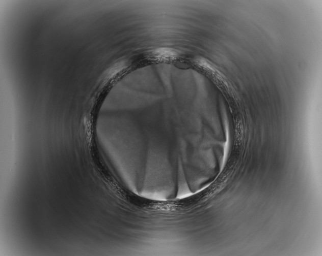 X0000095530762200801111413