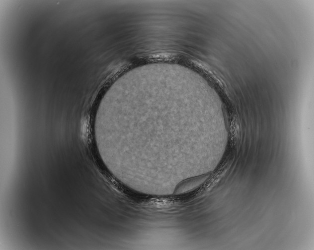 X0000095530764200801111413