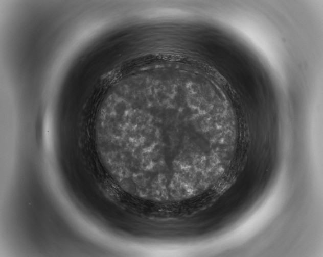 X0000095530765200801111413