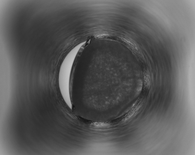 X0000095530766200801111413