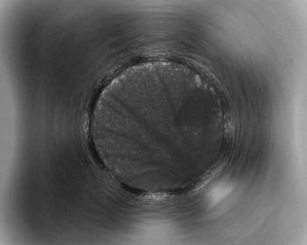 X0000095530767200801111413