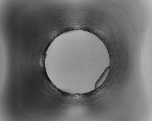 X0000095530768200801111413