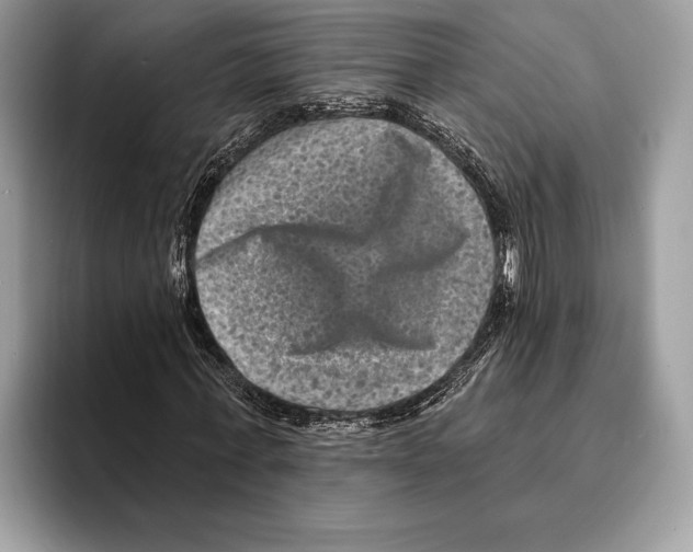 X0000095530771200801111412