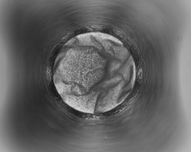 X0000095530772200801111412