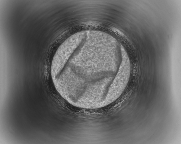 X0000095530774200801111412