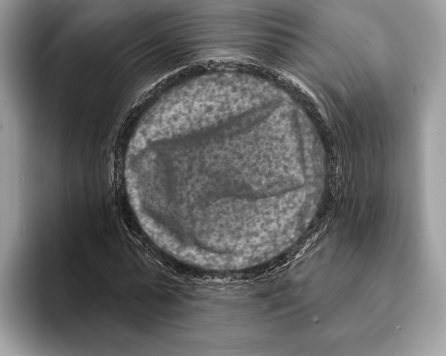 X0000095530775200801111412