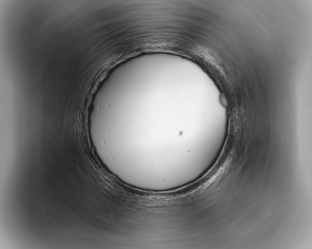 X0000095530777200801111412