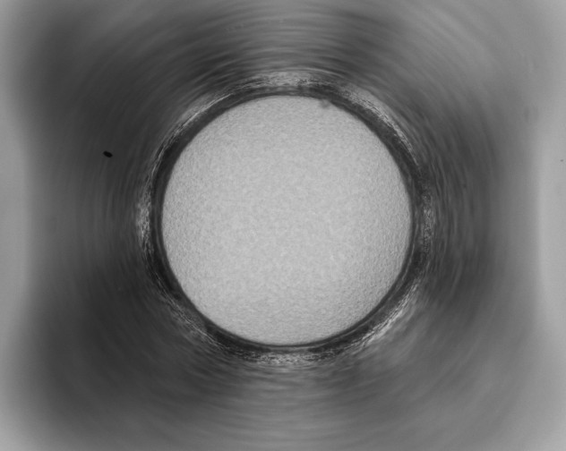 X0000095530778200801111412