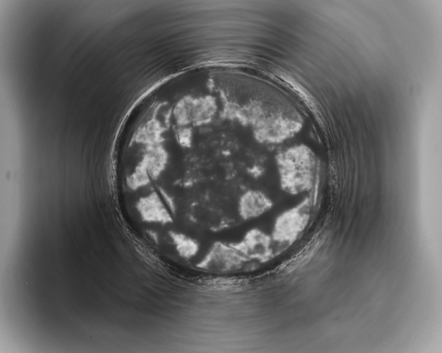 X0000095530779200801111412