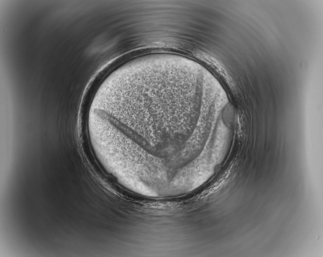 X0000095530780200801111412