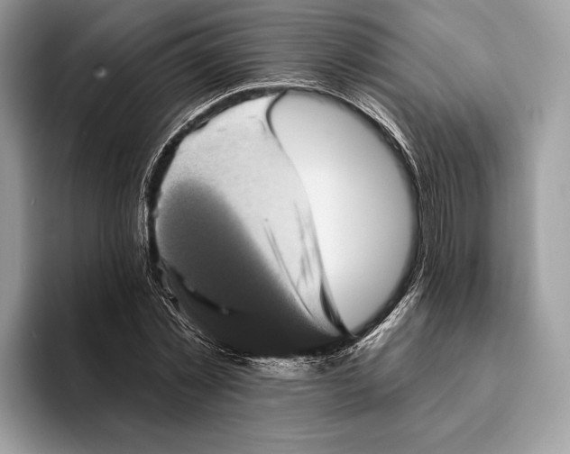 X0000095530781200801111412