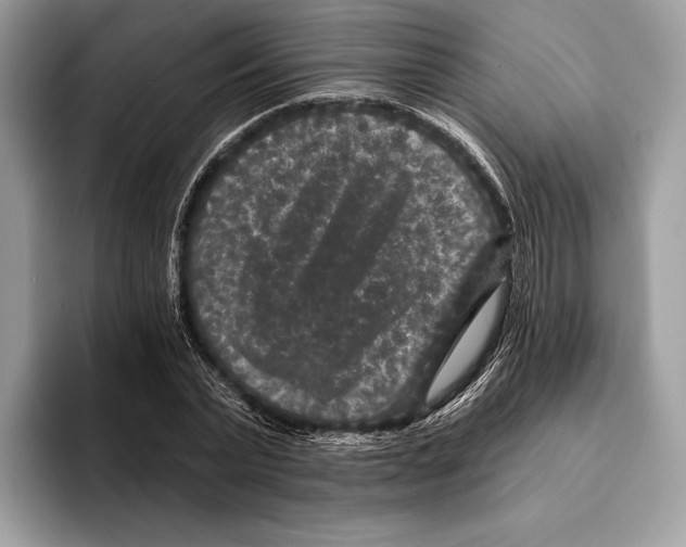 X0000095530783200801111412