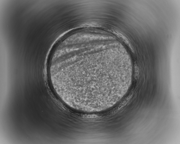 X0000095530784200801111412