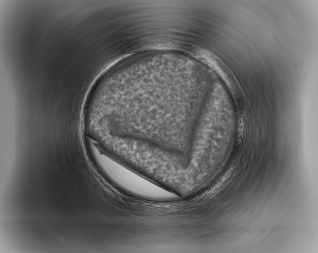 X0000095530787200801111412