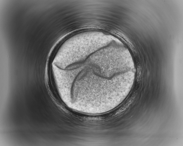 X0000095530788200801111412