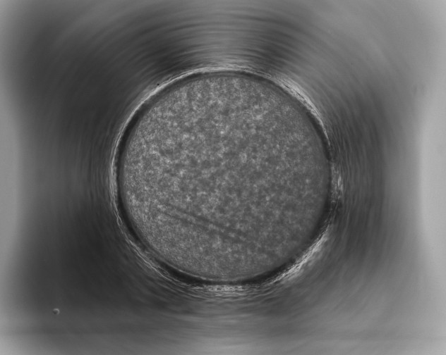 X0000095530789200801111412