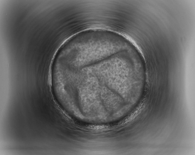 X0000095530791200801111412