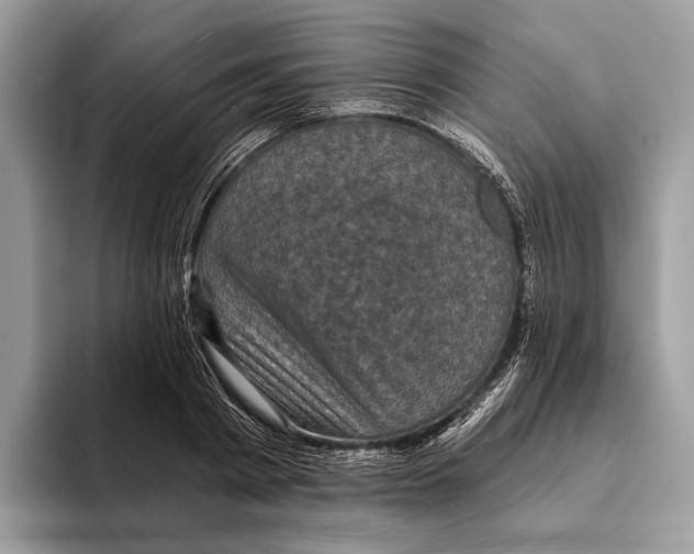 X0000095530793200801111412