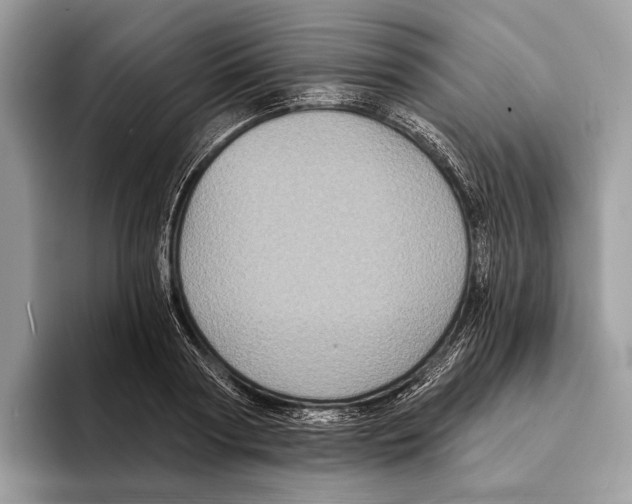 X0000095530794200801111412