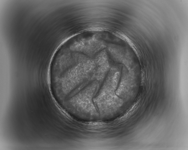 X0000095530795200801111412