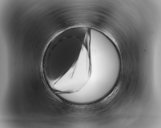 X0000095530797200801111412