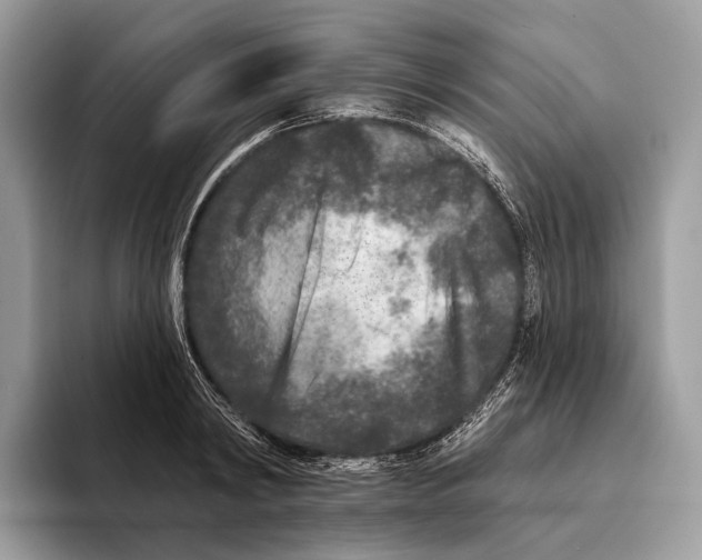 X0000095530798200801111412