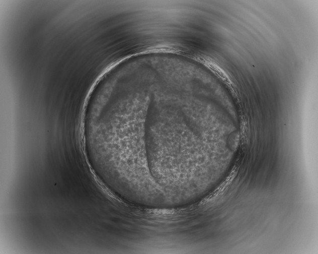 X0000095530800200801111412