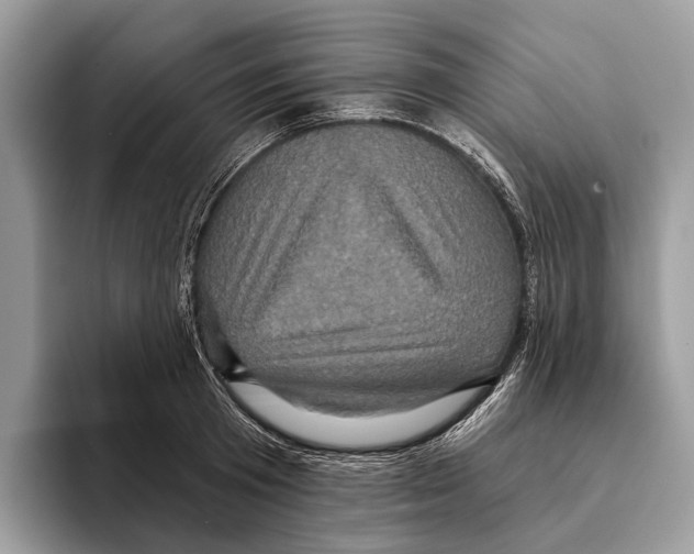 X0000095530801200801111412