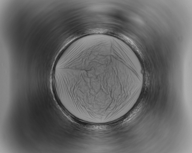 X0000095530802200801111412