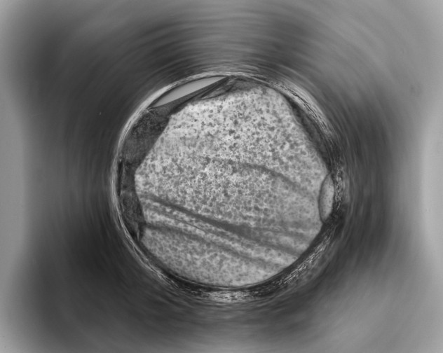 X0000095530804200801111412