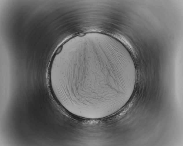 X0000095530806200801111412