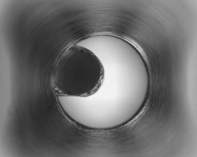 X0000095530809200801111412