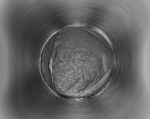 X0000095530810200801111412