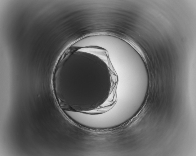 X0000095530813200801111412