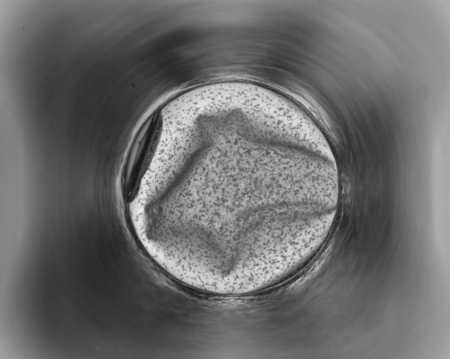 X0000095530814200801111412