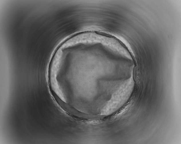 X0000095530815200801111412