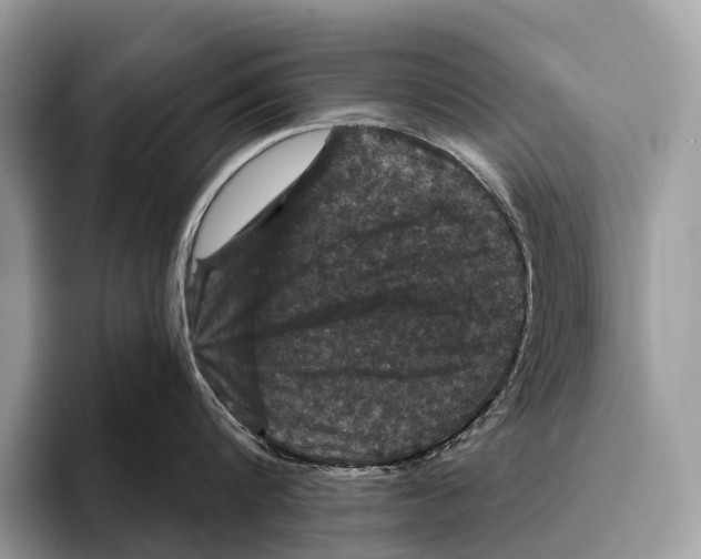 X0000095530816200801111412