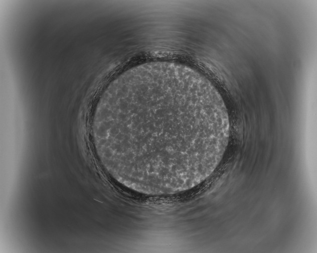 X0000095530817200801111411