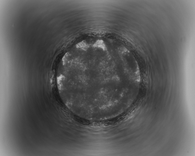 X0000095530818200801111411