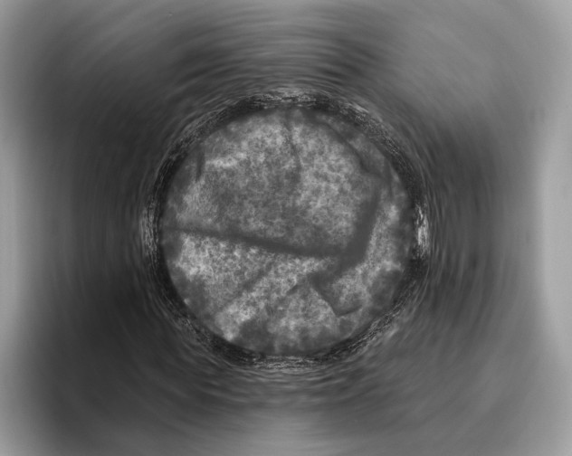 X0000095530819200801111411