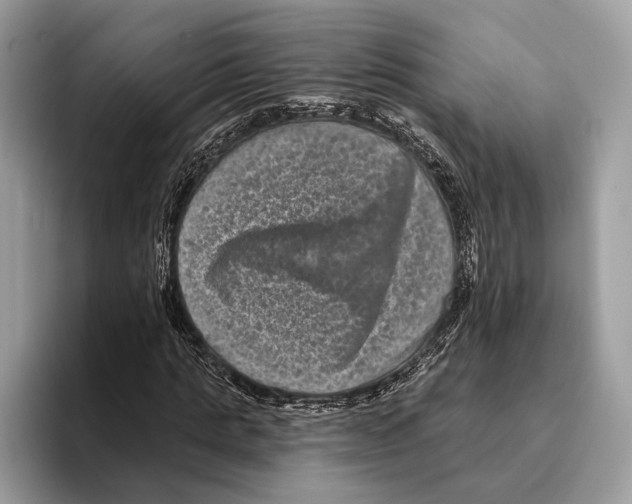 X0000095530821200801111411