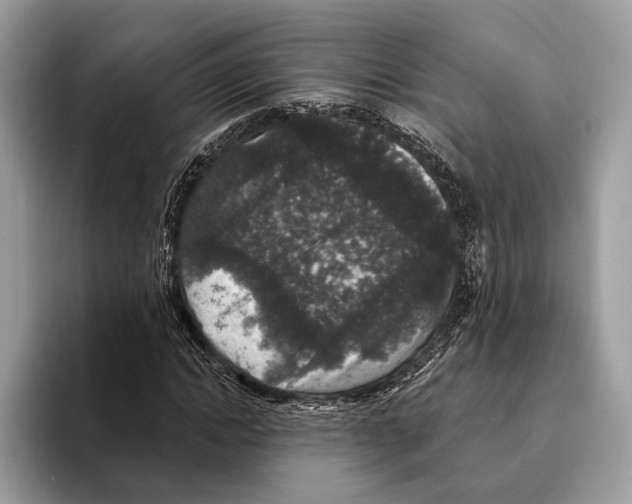 X0000095530822200801111411