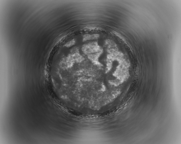 X0000095530823200801111411