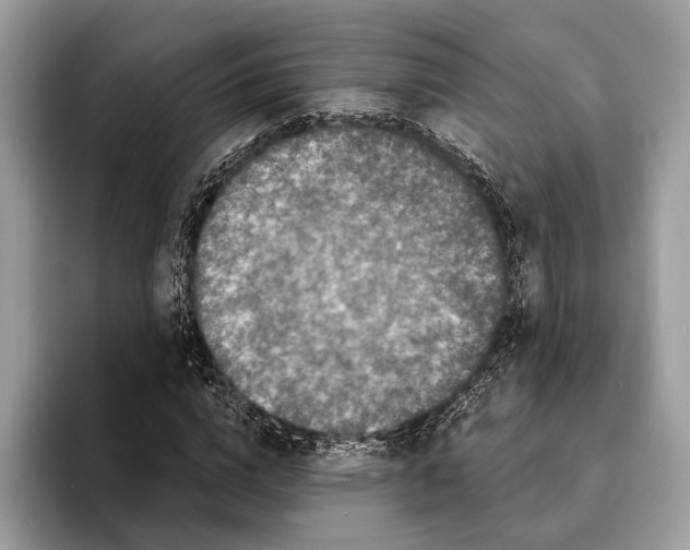 X0000095530824200801111411